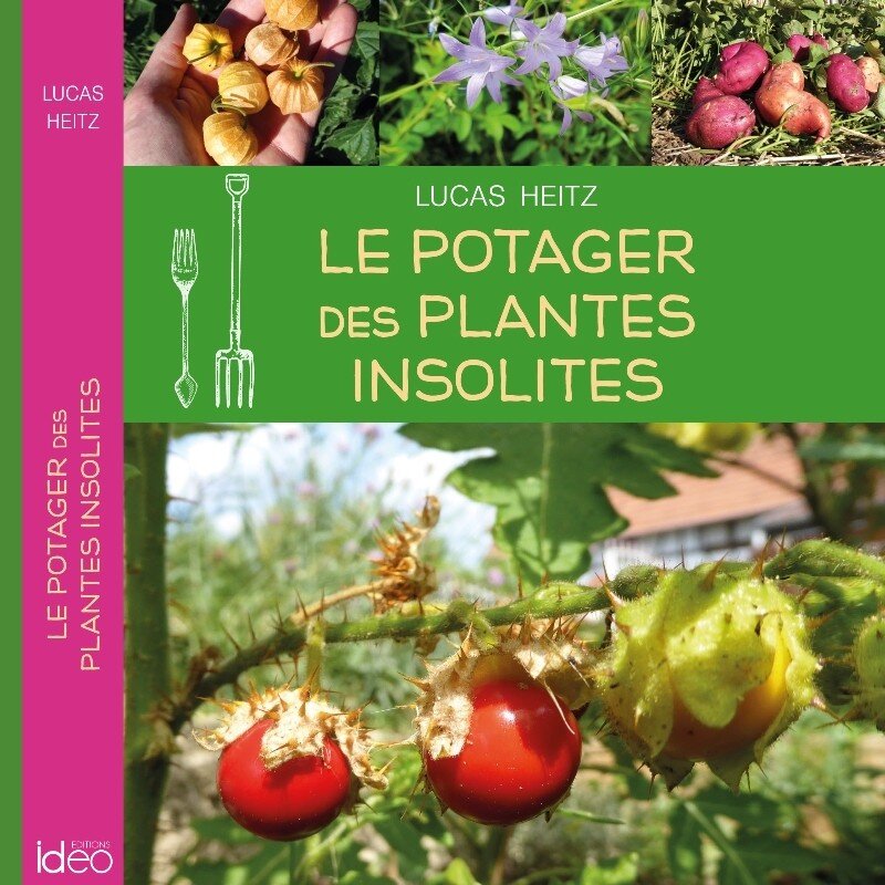 Livre : Le potager des plantes insolites (Lucas HEITZ)