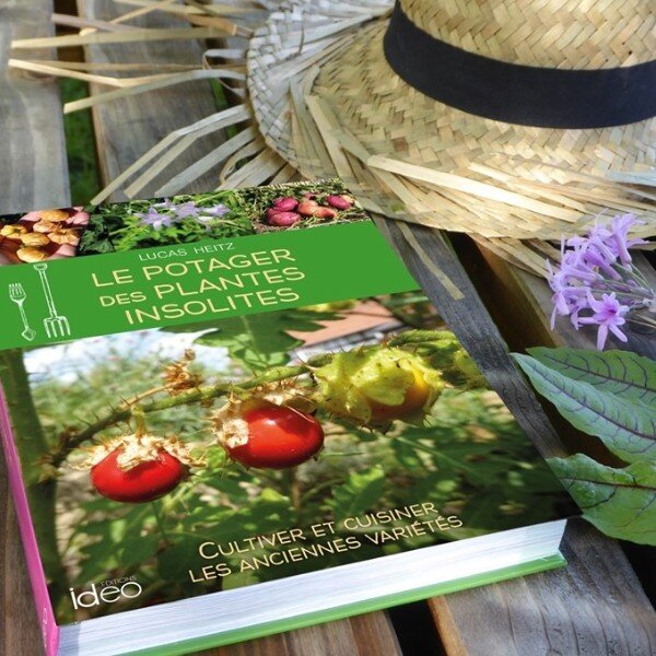 Livre : Le potager des plantes insolites (Lucas HEITZ)