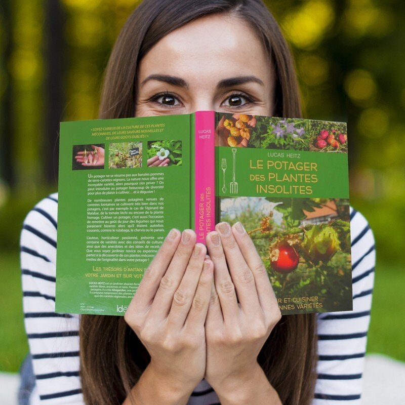 Créer Un Potager Unique Avec Des Légumes Insolites