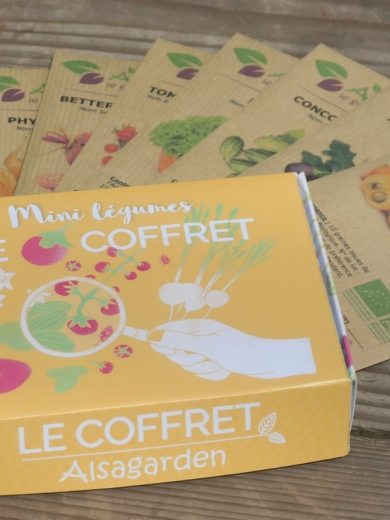 Coffret Mini Légumes (10 variétés miniatures)