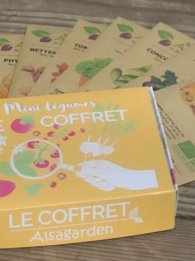 Coffret Mini Légumes (10 variétés miniatures)