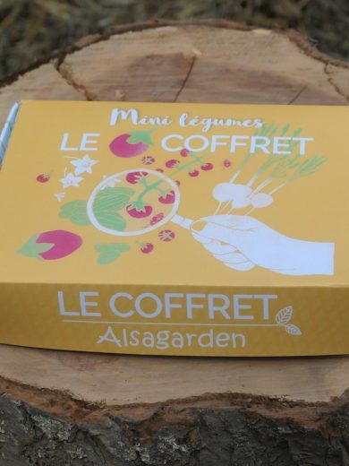 Coffret Mini Légumes (10 variétés miniatures)