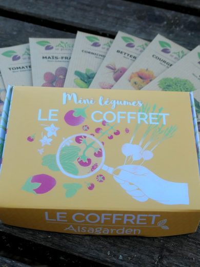 Coffret Mini Légumes (10 variétés miniatures) – Image 3