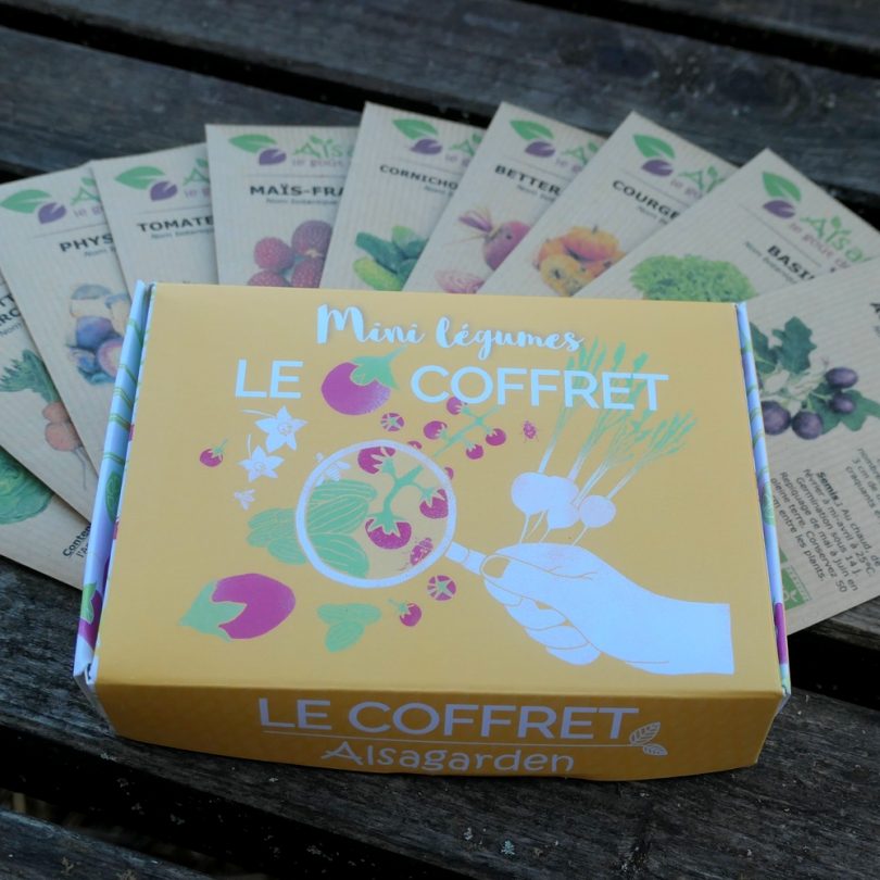 Coffret Mini Légumes (10 variétés miniatures) – Image 3
