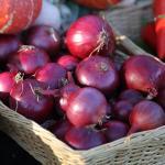 Oignon rouge 'Red Baron' (Bulbes à planter)