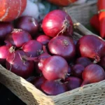 Oignon rouge 'Red Baron' (Bulbes à planter)