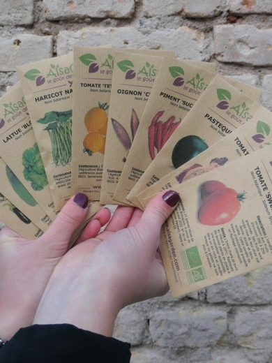 Coffret Potager Coquin (10 Variétés originales)