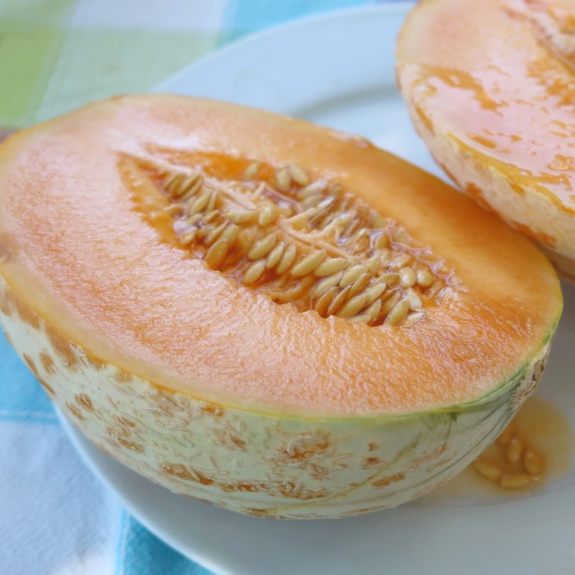 Melon de Lunéville (Variété ancienne) Graines – Image 2