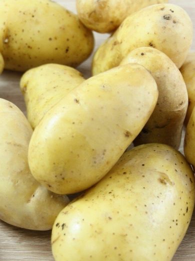 Pommes de terre 'Gourmandine' 25 Plants BIO