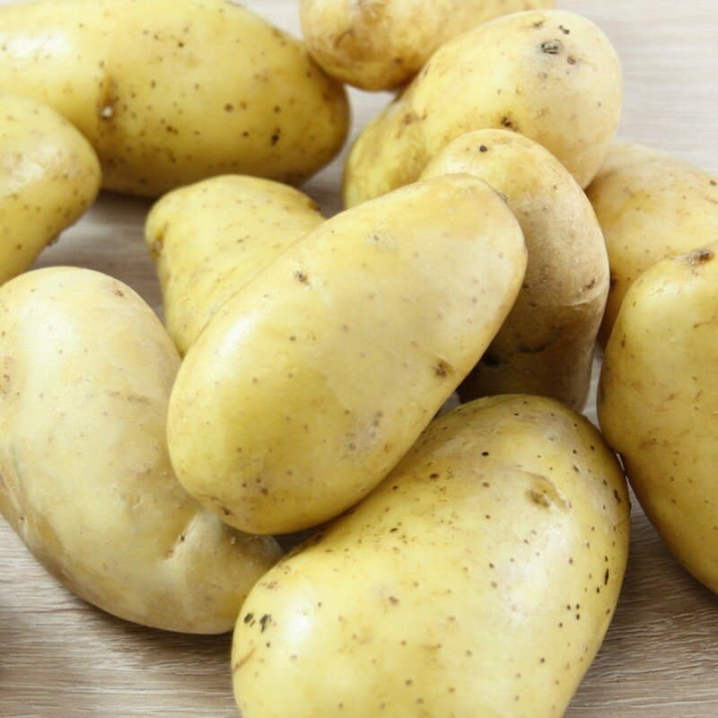 Pommes de terre 'Gourmandine' 25 Plants BIO