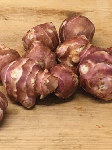 Topinambour 'Violet de Rennes' Tubercules