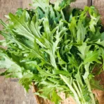 Mizuna japonais (Brassica rapa japonica) Graines