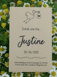 Faire-part de naissance à semer (il était une fois)