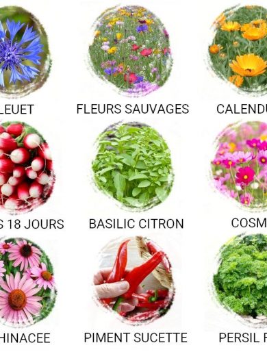 Faire-part de naissance à semer (Couronne fleurie)