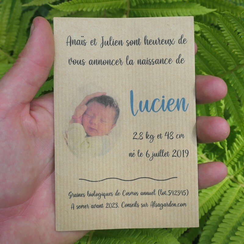 Cadeau d'invité mariage (Semer à la folie) - Alsagarden