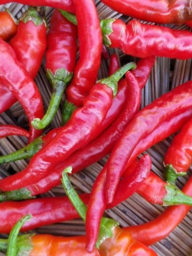 Piment de Cayenne (Très piquant) Graines