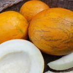 Melon Kazakh (Variété ancienne) Graines