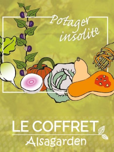 Coffret Potager Insolite (10 variétés rares et originales)