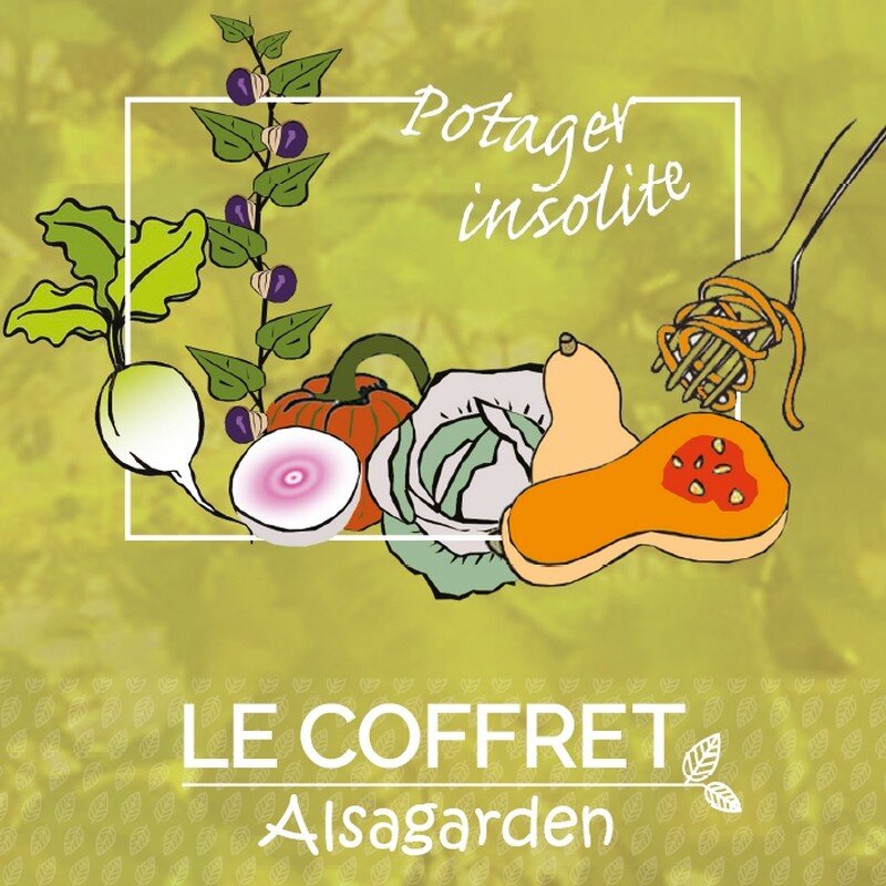 Coffret graines 12 légumes insolites, vente au meilleur prix