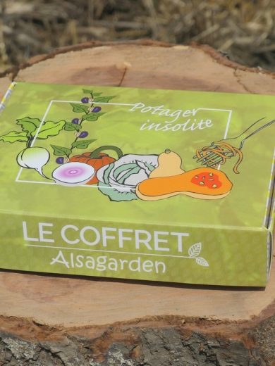 Coffret Potager Insolite (10 variétés rares et originales)