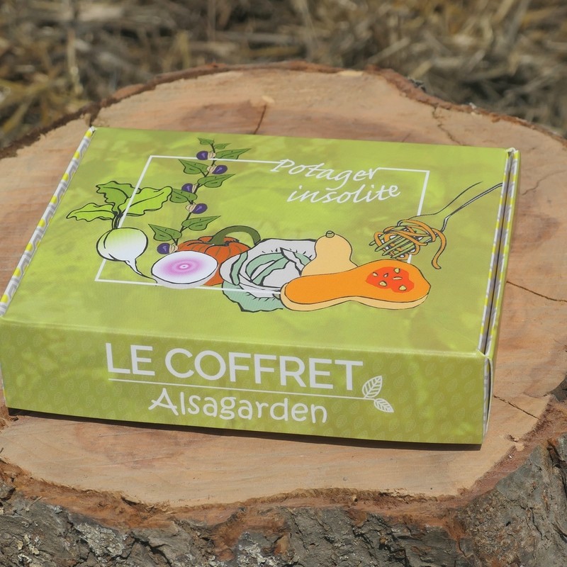 Pack découverte 1 Potager + coffret de 12 sachets de graines