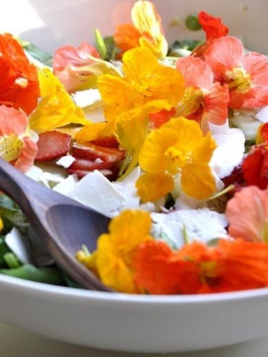 Coffret Fleurs comestibles (10 variétés comestibles) Graines