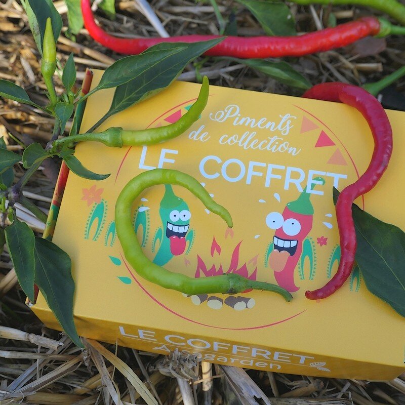 Coffret Piments de Collection (10 variétés atypiques) - Alsagarden