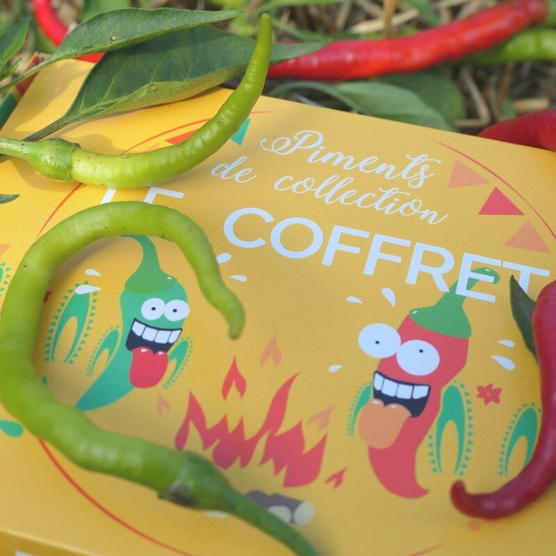 Coffret Piments de Collection (10 variétés atypiques) - Alsagarden