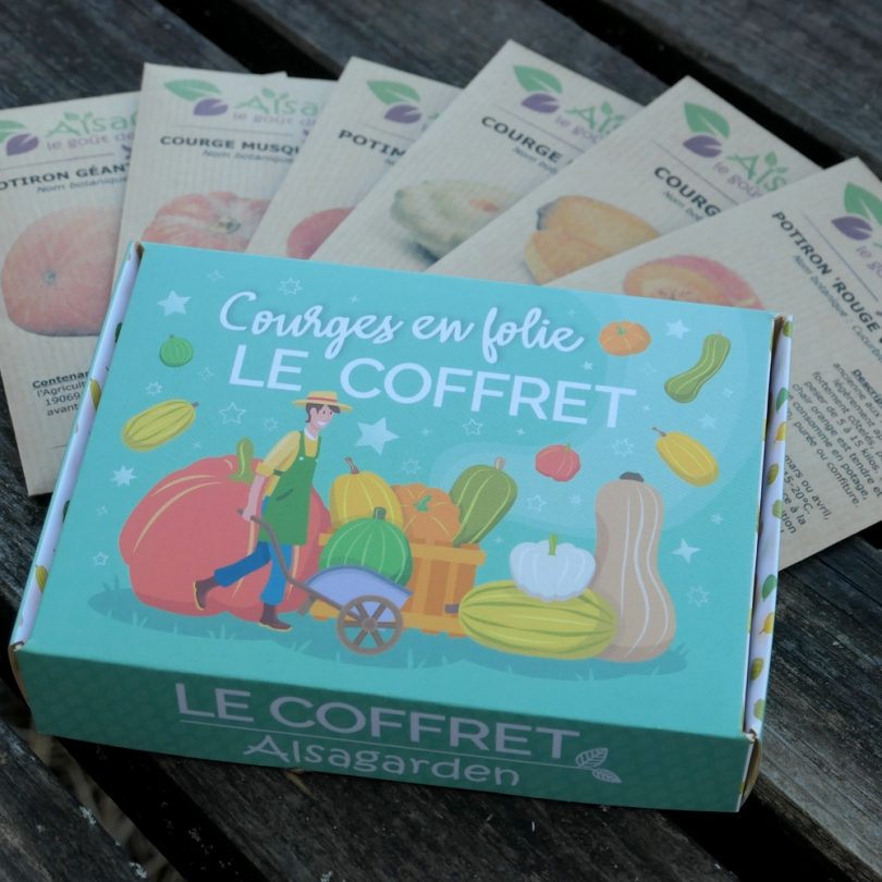 Coffret Courges en Folie (6 Variétés originales) – Image 2