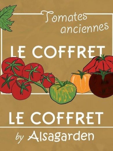 Coffret Tomates anciennes (10 variétés savoureuses) Graines