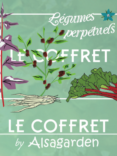 Coffret Légumes perpétuels (10 variétés de permaculture)