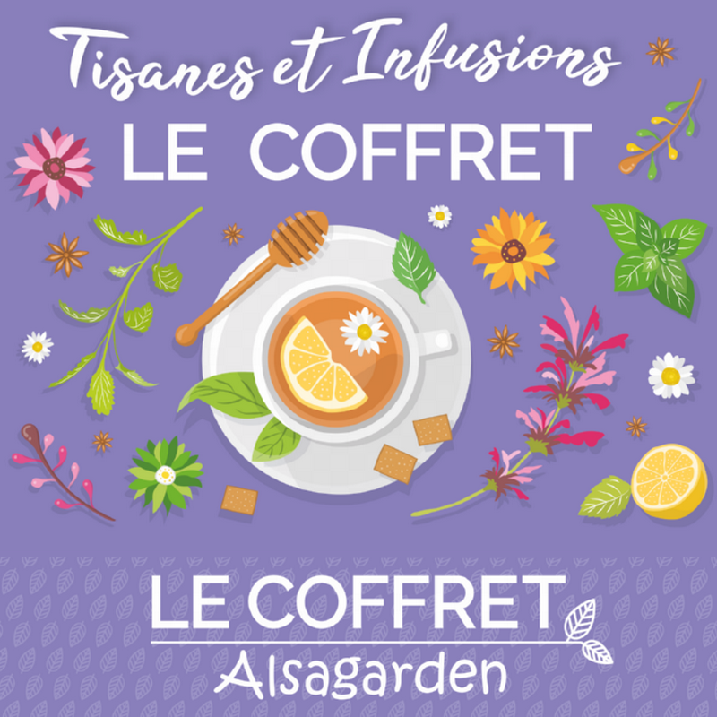 Coffret Tisanes et Infusions (10 variétés à infuser)