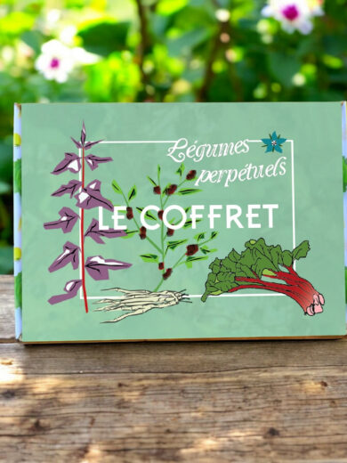 Coffret Légumes perpétuels (10 variétés de permaculture)