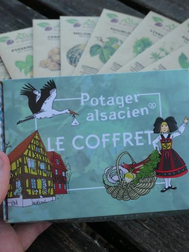 Coffret Potager Alsacien (10 variétés régionales traditionnelles) – Image 2