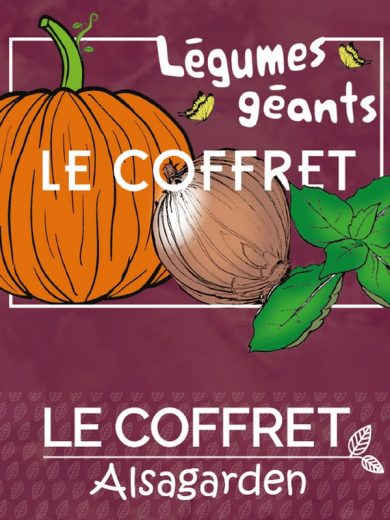 Coffret de graines Légumes anciens 10 variétés - Le Colibri, boutique en  ligne