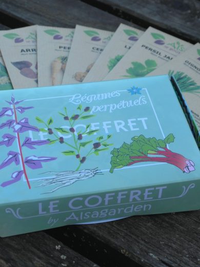 Coffret Légumes perpétuels (10 variétés de permaculture) – Image 2