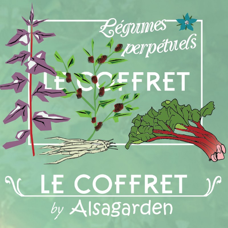 Alsagarden - 🌱🎁 Un coffret de graines rares et insolites