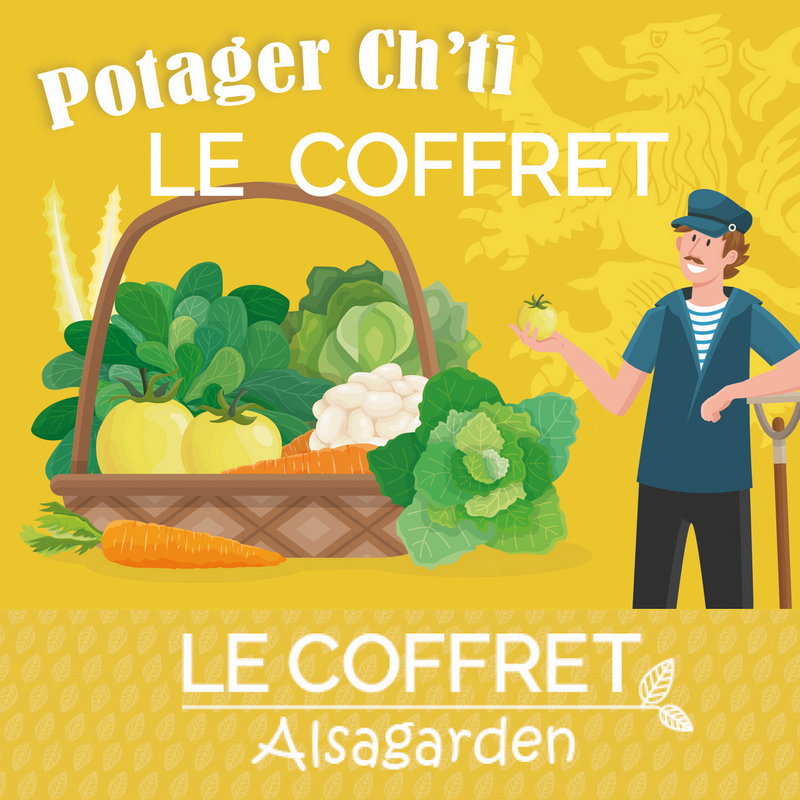 Alsagarden - 🌱🎁 Un coffret de graines rares et insolites