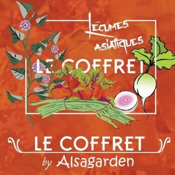 Coffret Légumes asiatiques (10 variétés originales)