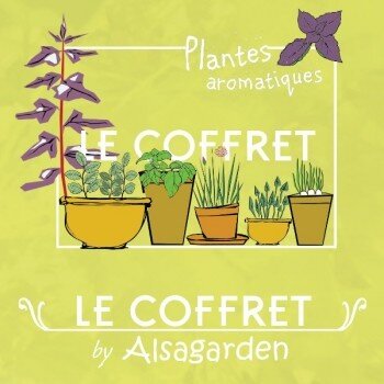 Coffret de graines Potager Insolite (10 variétés rares et originales) -  Alsagarden