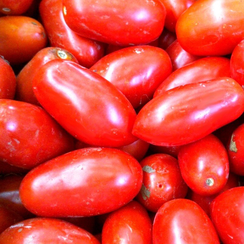 Tomate Rouge 'San Marzano' Graines