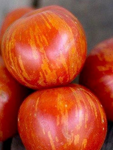 Tomate Bicolore 'Tigrella' Graines