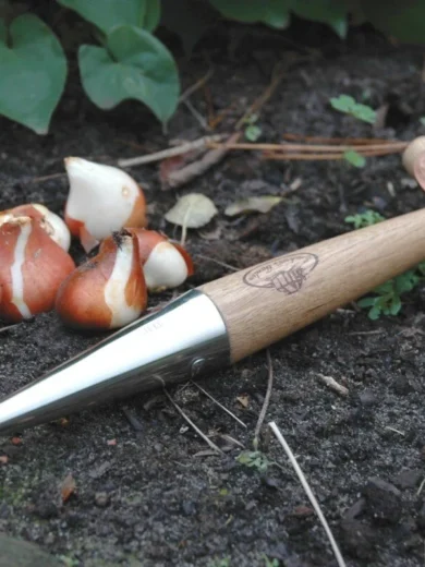 Plantoir droit inoxydable