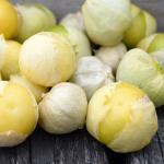 Tomatillo Blanc 'Amarylla' (Physalis ixocarpa) Graines