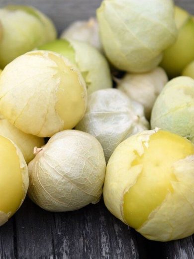 Tomatillo Blanc 'Amarylla' (Physalis ixocarpa) Graines