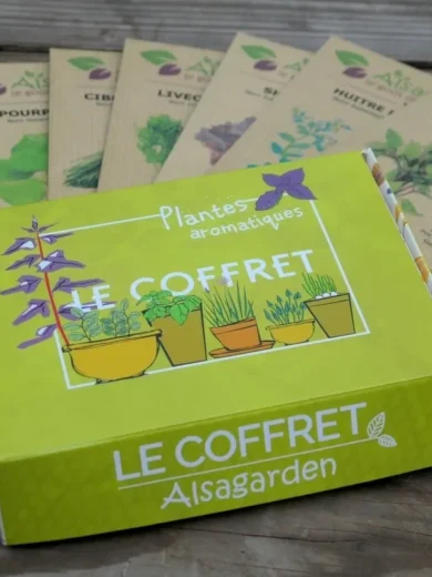 Coffret Plantes aromatiques (Assortiment 10 variétés condimentaires)
