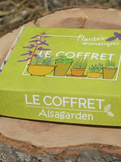 Coffret Plantes aromatiques (Assortiment 10 variétés condimentaires)