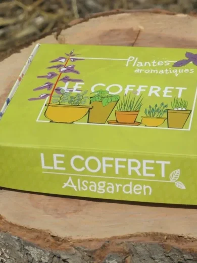 Coffret Plantes aromatiques (Assortiment 10 variétés condimentaires)