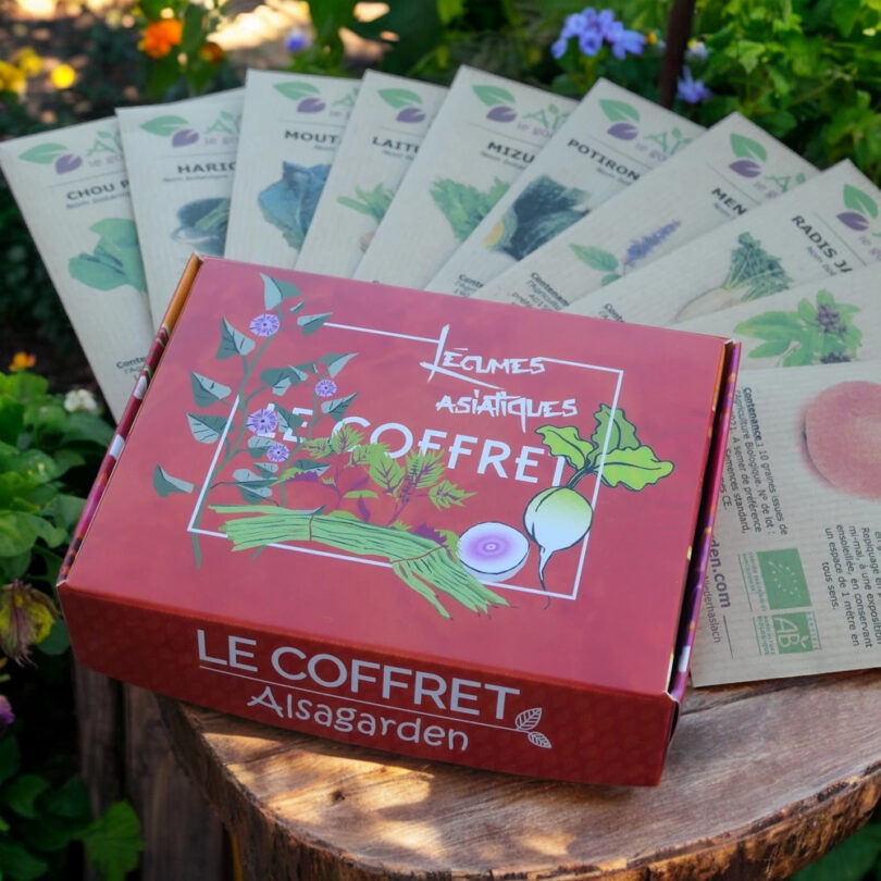Coffret Légumes asiatiques (10 variétés originales) – Image 2