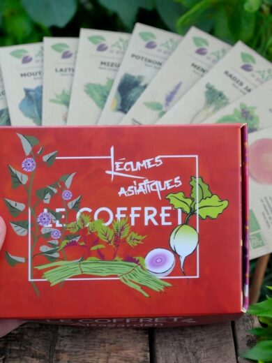 Coffret Légumes asiatiques (10 variétés originales)